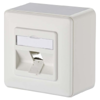 Metz Connect 130B10D10002 E Netwerkdoos Opbouw Zonder connectoren 1 poort Zuiver wit