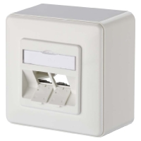 Metz Connect 130B20D20002KE Netwerkdoos Opbouw Zonder connectoren 2 poorten Zuiver wit