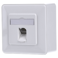 Metz Connect 130C371002 I Netwerkdoos Inbouw (in muur) Inzet met centraalstuk en frame CAT 6A 1 poort Zuiver wit