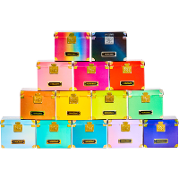 MGA Entertainment Rainbow High   Mini Accessories Studio: Handtassencollectie poppen accessoires