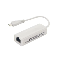 Micro USB naar RJ45 Ethernet LAN Adapter 100Mbps Netwerkconverter voor Raspberry Pi Zero W / 1.3
