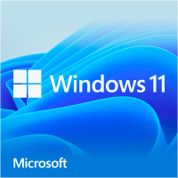 Microsoft Windows 11 Home (Engelstalig)