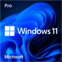 Microsoft Windows 11 Pro (Engelstalig)