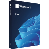 Microsoft Windows 11 Professional (Engelstalig) software