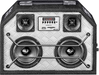 Mobiele Pa Luidspreker Mac Audio Bt Force 210 1 Stuks