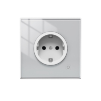 MoesHouse Tuya Smart Home WiFi Touch Gras Stopcontact 16A met Power Telfunctie App Afstandsbediening Timing Werkt met Al