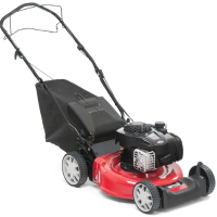 SMART 46 SPB Benzinemaaier