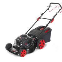 MTD SMART 46 SPBS