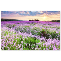 MuchoWow Tuinposter 120x80cm Bloemen Lavendel Paars Lucht