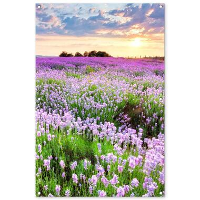 MuchoWow Tuinposter 80x120cm Bloemen Lavendel Paars Lucht