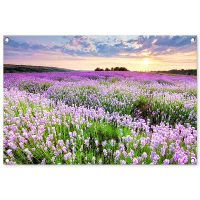 MuchoWow Tuinposter 90x60cm Bloemen Lavendel Paars Lucht