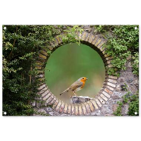 MuchoWow Tuinposter 90x60cm Vogel Doorkijk Roodborstje