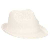 Trilby feesthoedje voor volwassenen   wit   Carnaval party verkleed hoeden