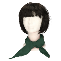 Myrtle Beach verkleed bandana/sjaaltje   donkergroen   kleuren thema