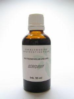 Cruydhof Arctostaphylos Uva Ursi/Berendruif Druppels