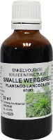 Cruydhof Plantago Lanceolata Hrb/Smalle Weegbree Druppels