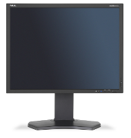 Nec Multisync P212 Ips 21.3