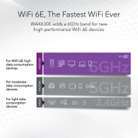 Netgear WAX630E access point