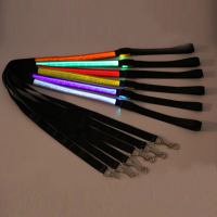 Night Safety Led Pet Leashes Lead For Dog Or Cat