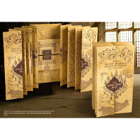 Noble Collection Harry Potter   Marauders Map decoratie