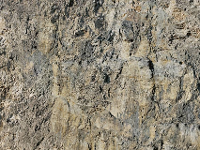 NOCH 0060303 (l x b) 450 mm x 225 mm