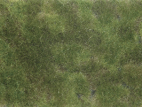 NOCH 07251 Bodembedekker Landschap bouw Olijf groen