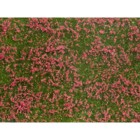 NOCH 07257 Bodembedekker Landschap bouw Rood