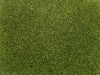 NOCH 08364 Strooigras Groen (gemiddeld) 4 mm, 20 g