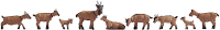NOCH 15752 H0 Geiten figuren Geverfd, Staand
