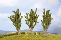 NOCH 25525 Set bomen Populier 55 tot 55 mm Groen 3 stuk(s)