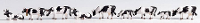 NOCH 36721 N Dieren figuren Geverfd, Staand