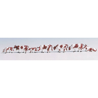 NOCH 36723 N Dieren figuren Geverfd, Staand