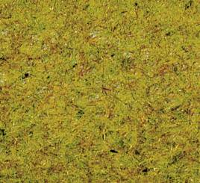 NOCH 50190 Strooigras Zomer weide Groen (gemiddeld)