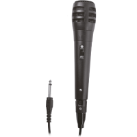 Party Mic