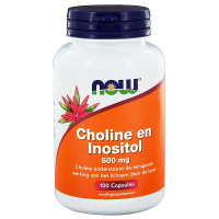 NOW Choline en Inositol Vegicaps