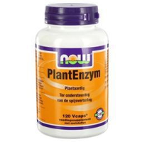 NOW Plant Enzym Capsules