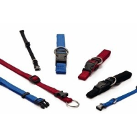 Nylon Halsband XS voor de hond Blauw