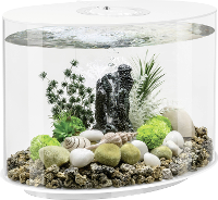 OASE biOrb 86415 biOrb LOOP 30 LED weiß Aquarium Energielabel: G (A   G) 30 l Met LED verlichting