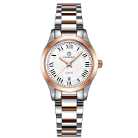 Ochstin Lq016a Casual Design Ladies Wristwatch Stainless Steel Band Quartz Watch