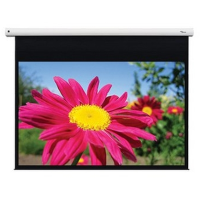 Optoma Opto DE 1123EGA 123'' Projectiescherm