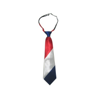 Stropdas Holland thema   Nederlandse vlag   Koningsdag/supporters verkleed accessoires