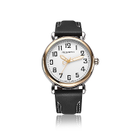 Rebirth Re032 Gold Case Male Wristwatch Leather Band Quartz Movement Watch