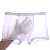 Ice Silk Thin Breathable Underwear Seamless Low Waist Boxers Briefs For Men