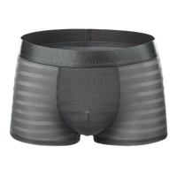 Ice Silk Translucent Stripe Sexy Underwear Soft Thin Elastic Breathable Boxer Briefs For Men
