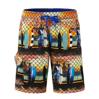 Mens Printing Casual Loose Summer Holiday Drawstring Quick Dry Swim Surf Beach Shorts
