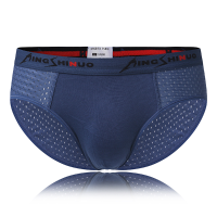Mesh Breathable Ice Silk Soft Cool Comfortable U Convex Briefs For Men