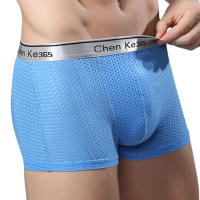 Soft Cool Ice Silk Breathable Mesh U Convex Pouch Boxer Briefs for Men