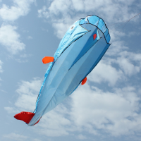 Outdoor Entertainment Kites 3d Huge Parafoil Giant Dolphin Blue Kites