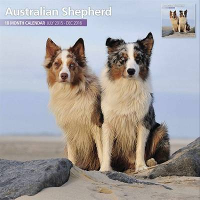 Over Dieren Kalender 2016 Australian Shepherd Traditional #95;_30x30 Cm