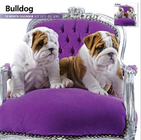 Over Dieren Kalender 2016 Bulldog Modern #95;_30x30 Cm
